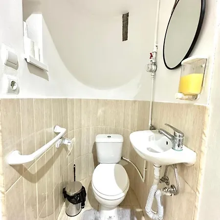 Charming Apartament Center Timisoara